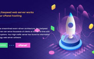 How LiteSpeed Web Server Works on Your cPanel Hosting