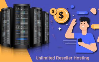 Reseller Hosting Possibility